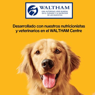 Snack perro Pedrigree Tasty Cheese Bites 140g