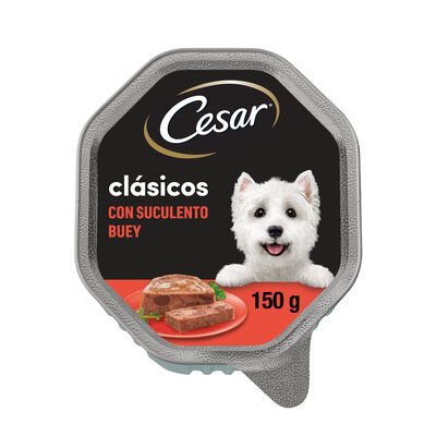 Cl&aacute;sicos comida h&uacute;meda para perro con buey tarrina 150 g