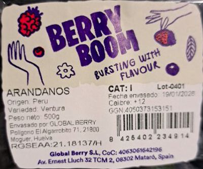 Ar&aacute;ndano bandeja 500g