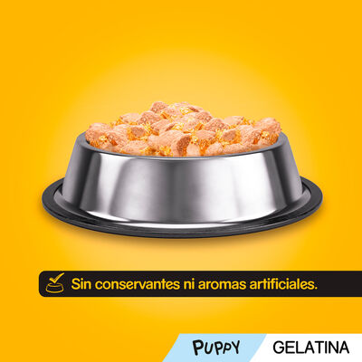 Comida h&uacute;meda perros junior Pedigree vital 400g
