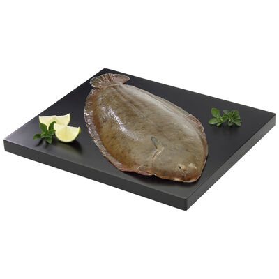 Lenguado Rubio Gordo