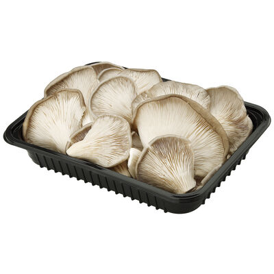 Seta bandeja 400g