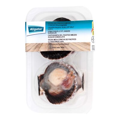 Vieira Aligator 200g media concha