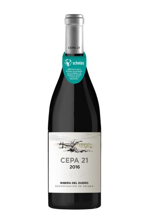 Vino tinto DO Ribera del Duero Cepa 21 cosecha