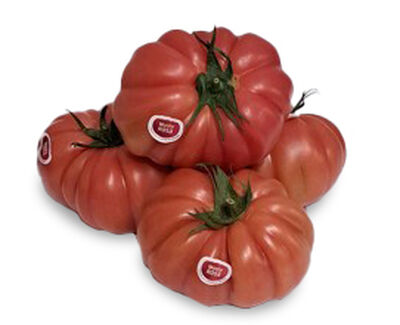 Tomate monterosa