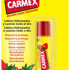 B&aacute;lsamo labial stick Carmex 4.25g fresa f15
