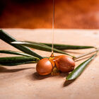 Champ&uacute; Aceite de Arg&aacute;n de Marruecos OGX Cabellos Secos y Da&ntilde;ados 385 ml