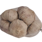 Ajo malla 500g