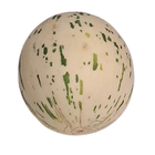 Mel&oacute;n matisse pieza 1,2kg