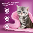 Comida para gatos pure delight Whiskas 4x85g