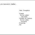 Queso roquefort en cuña Société 100g