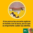 Snack higiene dental perro Dentastix razas grandes 7 unidades