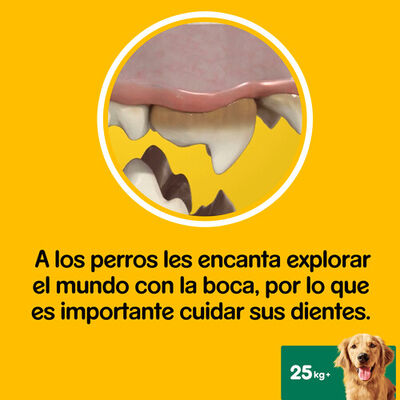 Snack higiene dental perro Dentastix razas grandes 7 unidades