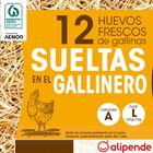 Huevos de gallinas sueltas en el gallinero Alipende 12u "clase l"