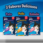 Alimento para gato PURINA® FELIX® Deli Moments Con Salmón 4x10g