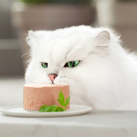 Comida húmeda gato Gourmet Gold mousse mix pack 8