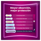 Compresa Discreet Ausonia 12 unidades Max Noche