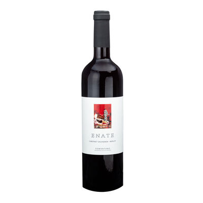 Vino tinto DO Somontano Enate merlot
