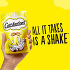 Snack gato Catisfactions salmón 180g