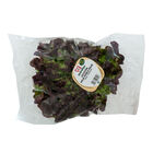 Lechuga roja hoja de roble 200g