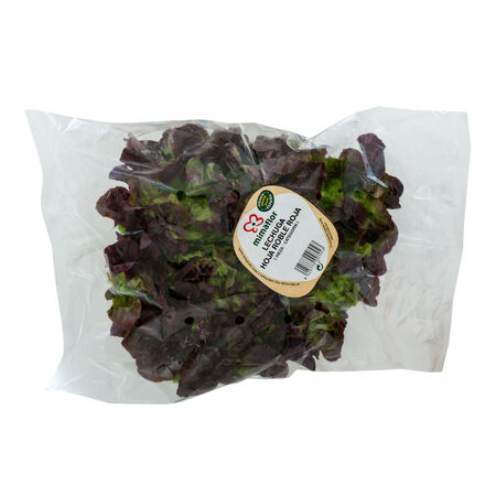 Lechuga roja hoja de roble 200g