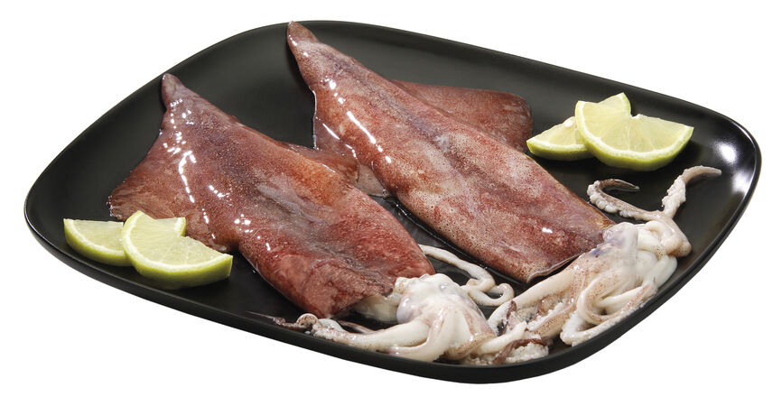 Calamar pequeño