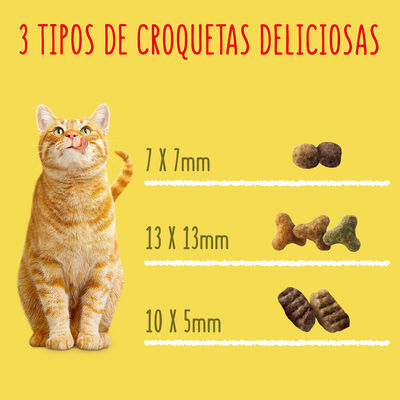 Alimento para gato Friskies buey pollo 400gr
