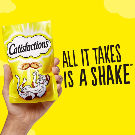 Snack gato Catisfactions salmón 180g
