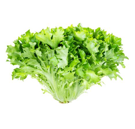 Escarola rizada 300g