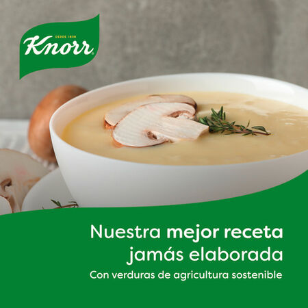 Crema Knorr 500ml setas del bosque con champiñones