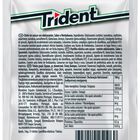 Chicles hierbabuena sin azúcar Trident 30u