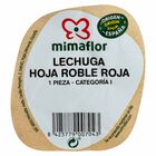 Lechuga roja hoja de roble 200g