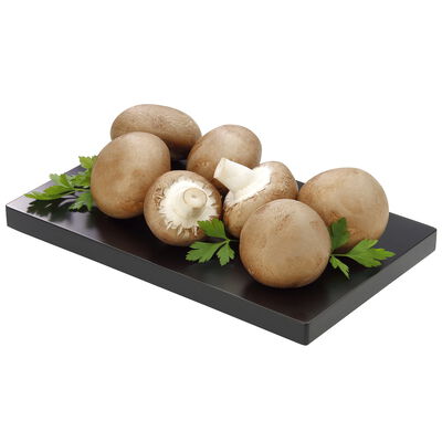 Champi&ntilde;&oacute;n Portobello