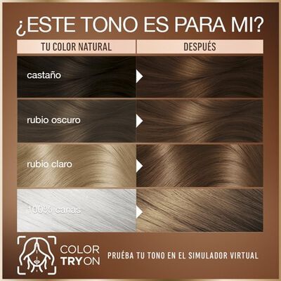 Tinte Pelo Good Garnier Castaño Nº 6.0