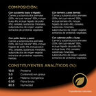 Comida húmeda perro César patés clásicos pack 4