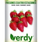 Semilla Verdy fresones 4 estaciones