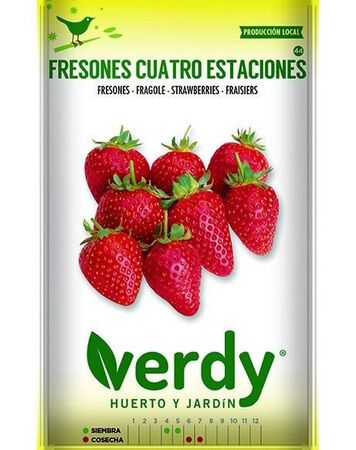 Semilla Verdy fresones 4 estaciones