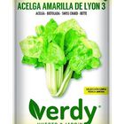 Semilla Verdy acelga amarilla lyon
