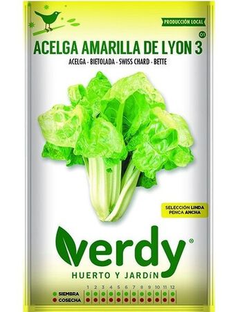 Semilla Verdy acelga amarilla lyon