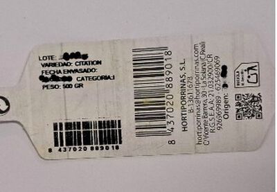 Cebolleta blanca manojo 500g