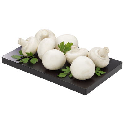 Champi&ntilde;&oacute;n fresco