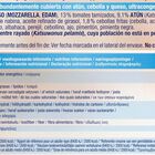 Pizza Ristorante Dr Oetker 355g tonno