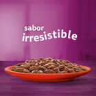 Comida para gato de buey y pollo Whiskas 4x85g