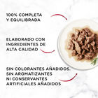 Comida h&uacute;meda gato Purina Gourmet mon petit pack 6