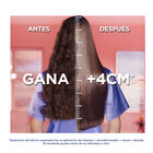 Acondicionador dream Elvive 300ml dañado