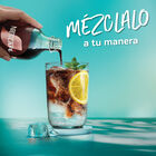 Caf&eacute; l&iacute;quido espresso concentrate con sabor a vainilla Nescaf&eacute; 500ml