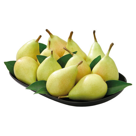 Pera ercolina