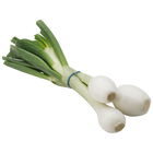 Cebolleta blanca manojo