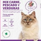 Alimento completo para gato Meque carne verdura pescado 2kg