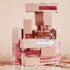 Maquillaje Brillo De Labios Maybelline Lifter Gloss Petal+ Ácido Hyalurónico 005